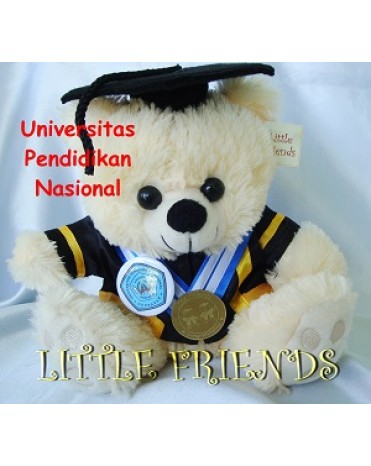Boneka Wisuda Universitas Pendidikan Nasional - Ekonomi (25 cm)